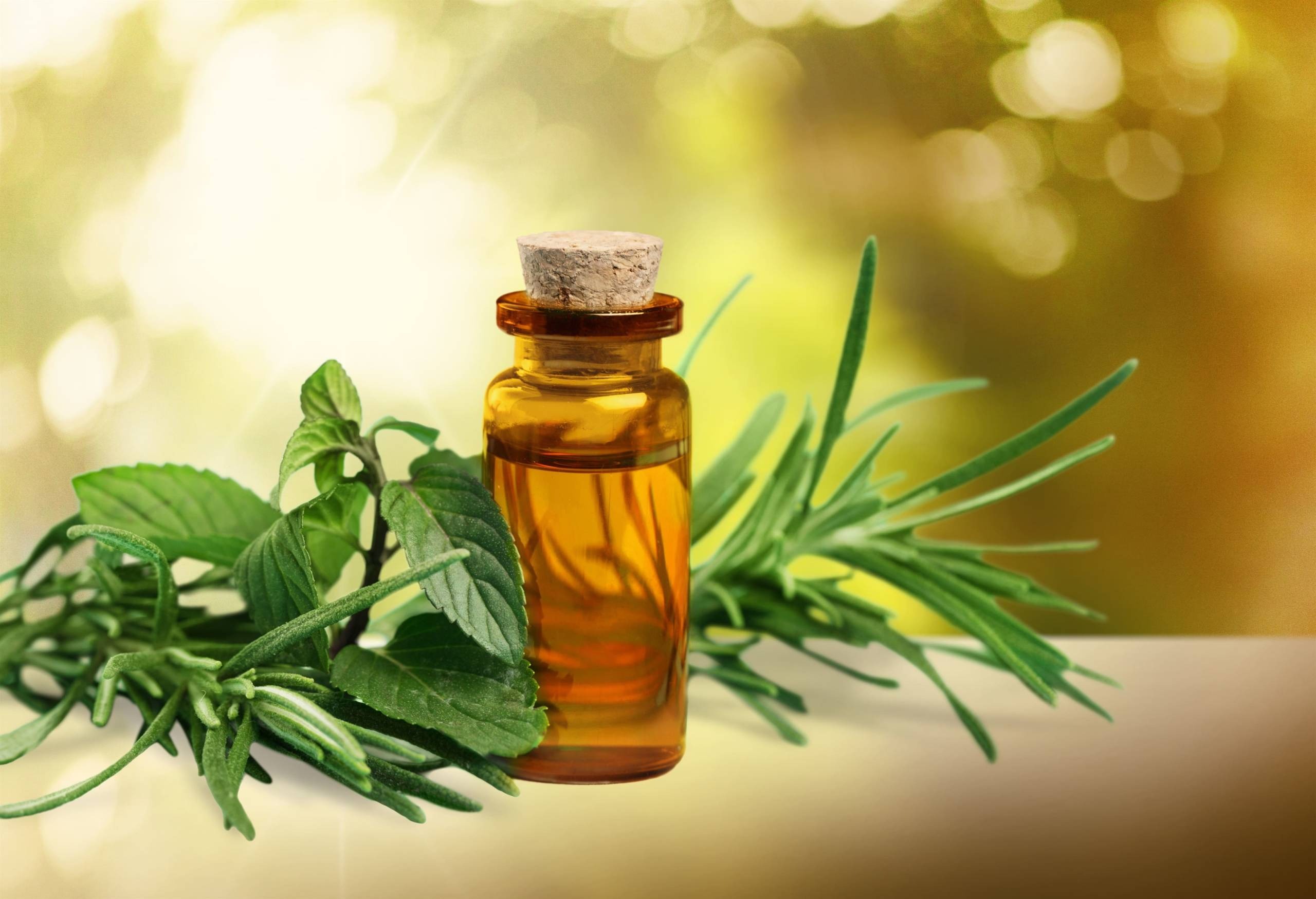 Tea Tree Oil: Benefits, Uses, Side Effects, and More